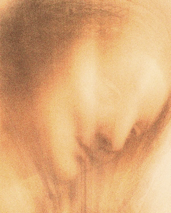 Foundations - Whole Body